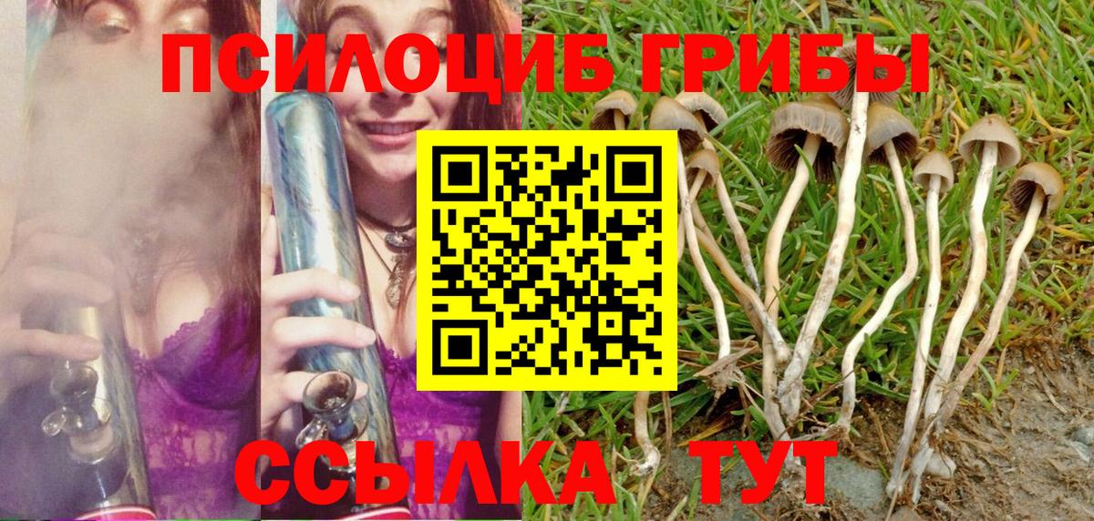 Лениногорск  Псилоцибиновые грибы Psilocybine cubensis  Псилоцибиновые грибы Cubensis  Вход с VPN 