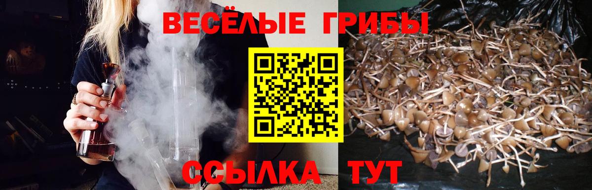 Галлюциногенные грибы прущие грибы Лениногорск